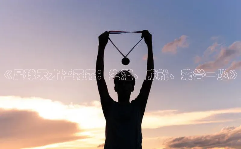 非凡体育2121平台下载观星盘《足球天才严森森：生涯、成就、荣誉一览》