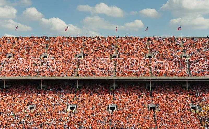 街头风暴：年度最强街头运动比赛