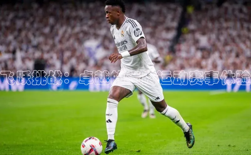 飞跃挑战：卓越的走跑运动赛事体验