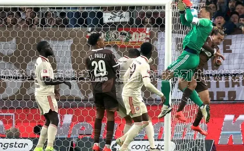 赛道上的英雄之旅：运动赛事系列小说推荐