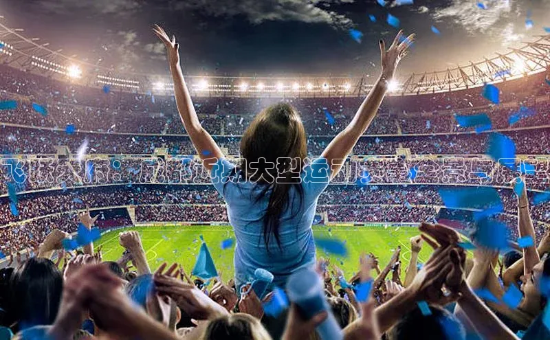 飞跃天府：成都近期大型运动赛事全景与展望