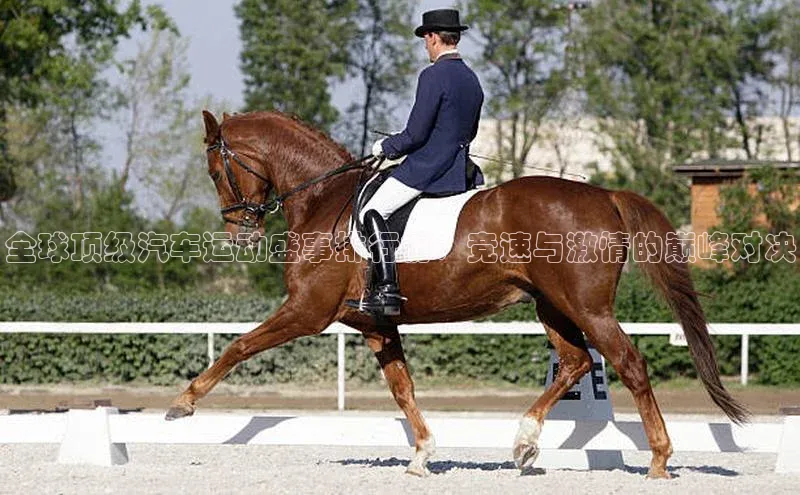 全球顶级汽车运动盛事排行榜：竞速与激情的巅峰对决