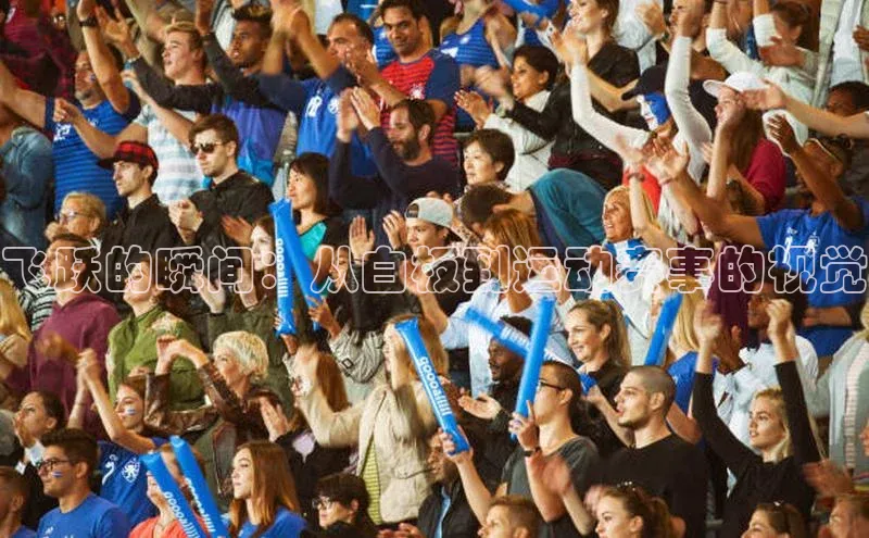 非凡体育官网入口