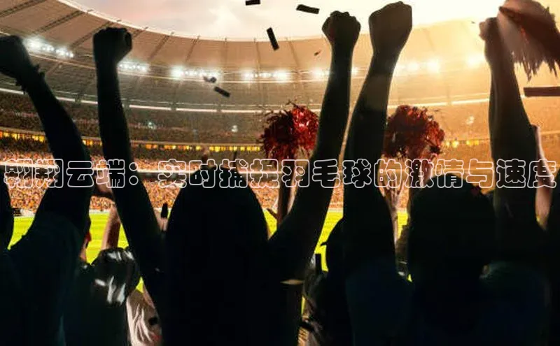 翱翔云端：实时捕捉羽毛球的激情与速度